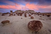 New Mexico